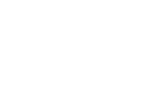 Castle Residence